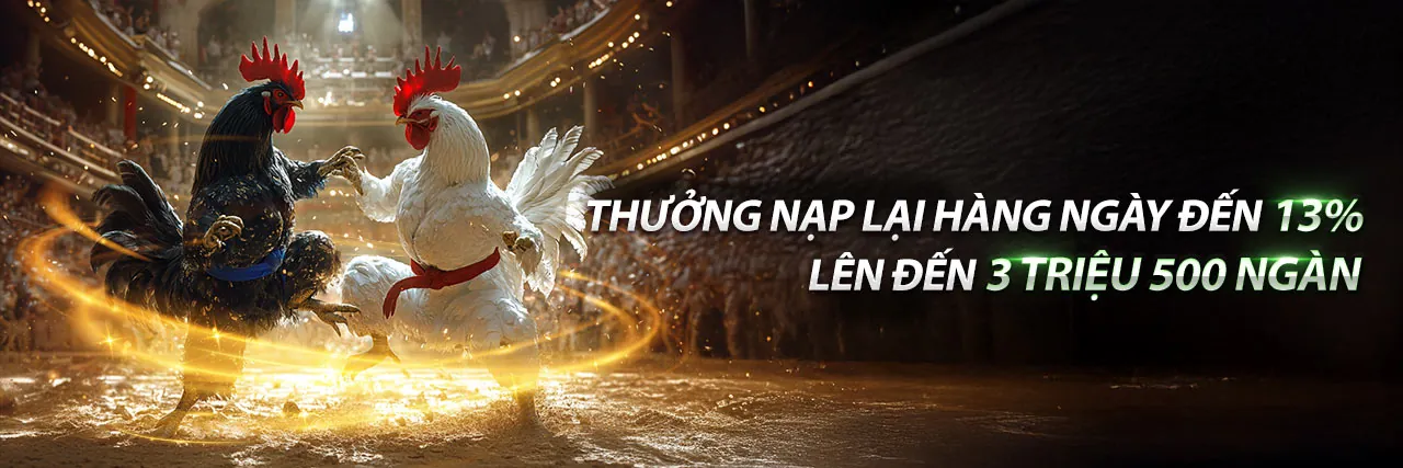 Tổng quan các ưu đãi đa dạng của ứng dụng MCW67