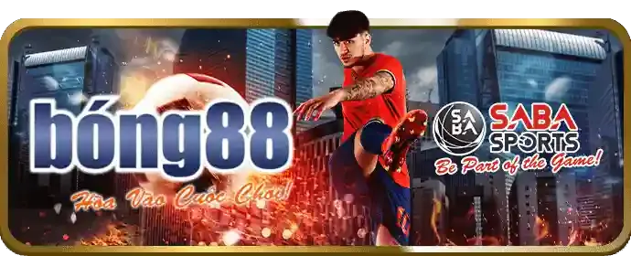 Hình ảnh banner quảng cáo